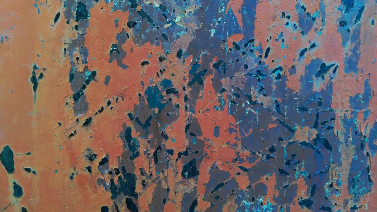 ¿Realmente podría hacerlo tu perro? La ciencia explica por qué tu cerebro no cae en el engaño del arte abstracto