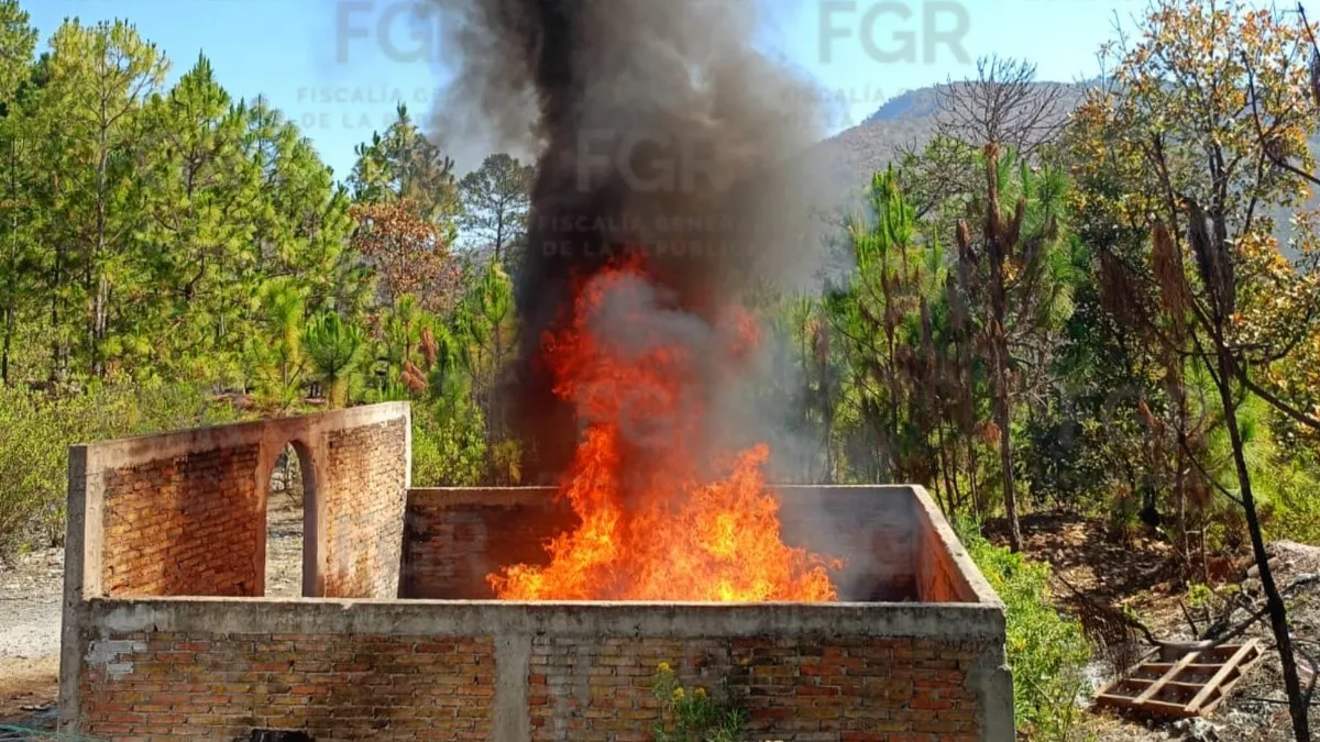 En Chilpancingo destruyen 346 kilos de marihuana, opio y metanfetamina