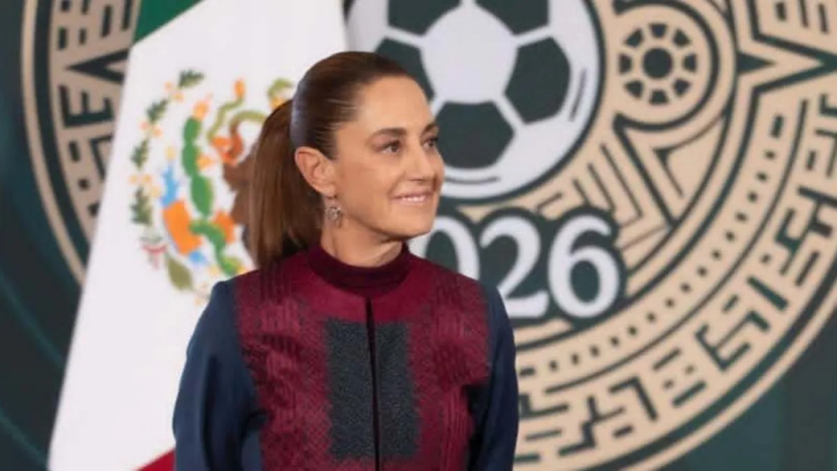 “Vamos a esperar cómo será el debate y la votación”, dice la presidenta.