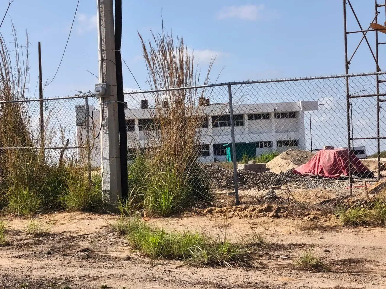 No hay universidad Afromexicana proyectada para Guerrero: Adelfo Regino Montes