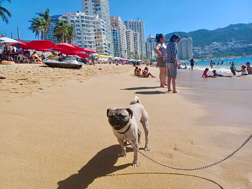 Guerrero, al 89.3% de ocupación hotelera el último día de 2023