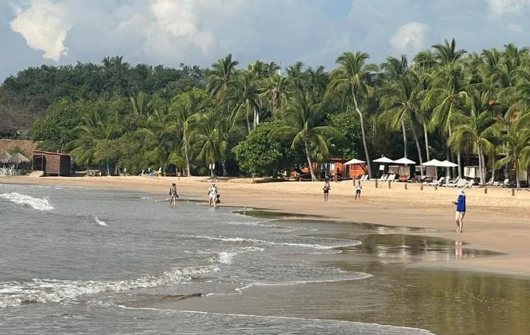 Presunto ataque de tiburón deja un canadiense muerto en Ixtapa, Guerrero