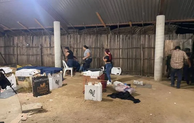 Asesinaron a 13 personas el fin de semana en Guerrero