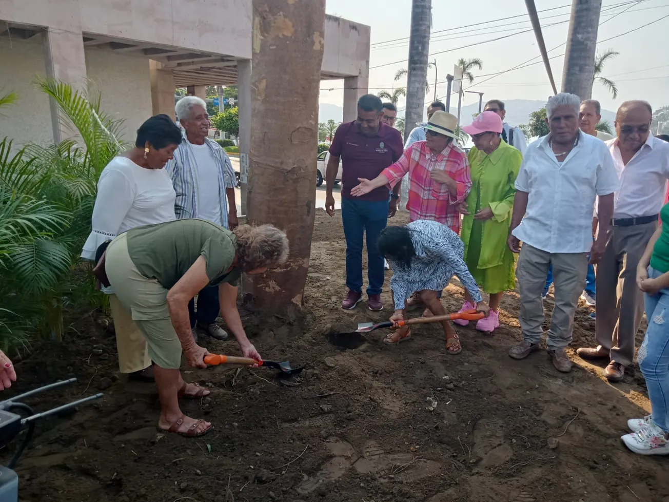 Tras Otis, busca el Ayuntamiento reforestar Acapulco con 10 mil árboles en la Costera 